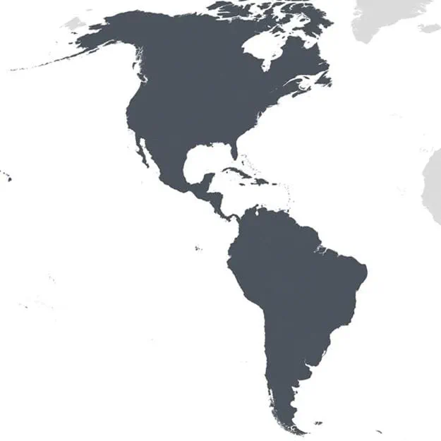 Amerika Bölgesi